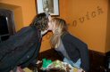 Photo Number 19