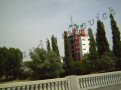 Photo Number 6
