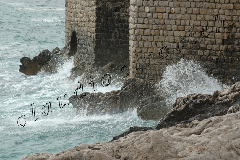 Photograph