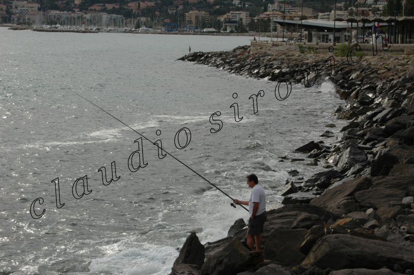Photograph