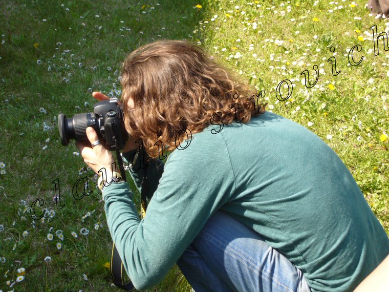 Photograph