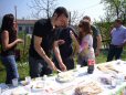Photo Number 11
