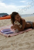 Photo Number 201