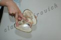Photo Number 5