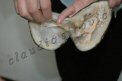 Photo Number 6