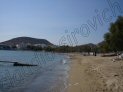 Photo Number 7