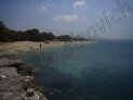 Photo Number 5