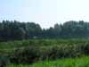 Photo Number 201