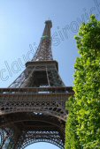 Photo Number 6