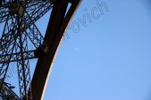Photo Number 8