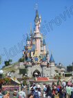 Photo Number 8