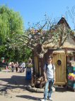 Photo Number 18