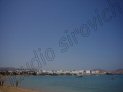 Photo Number 6