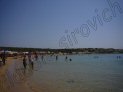 Photo Number 9
