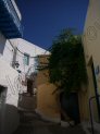 Photo Number 5