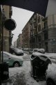 Photo Number 5