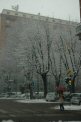 Photo Number 13