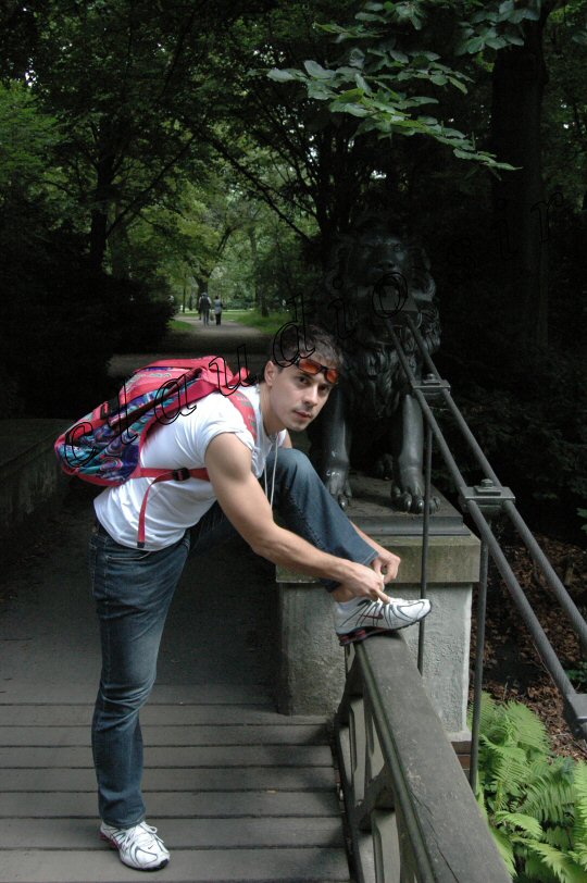 Photograph