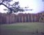 Photo Number 5