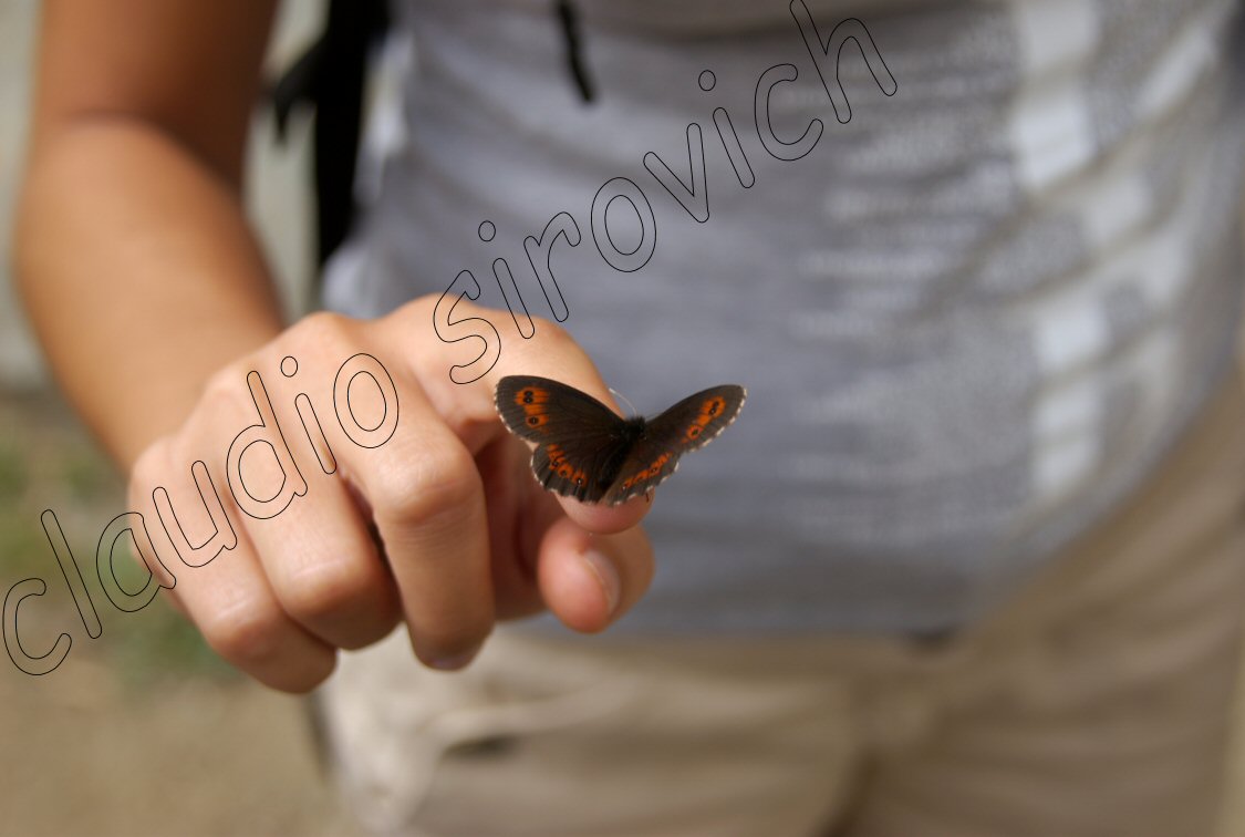 Photograph