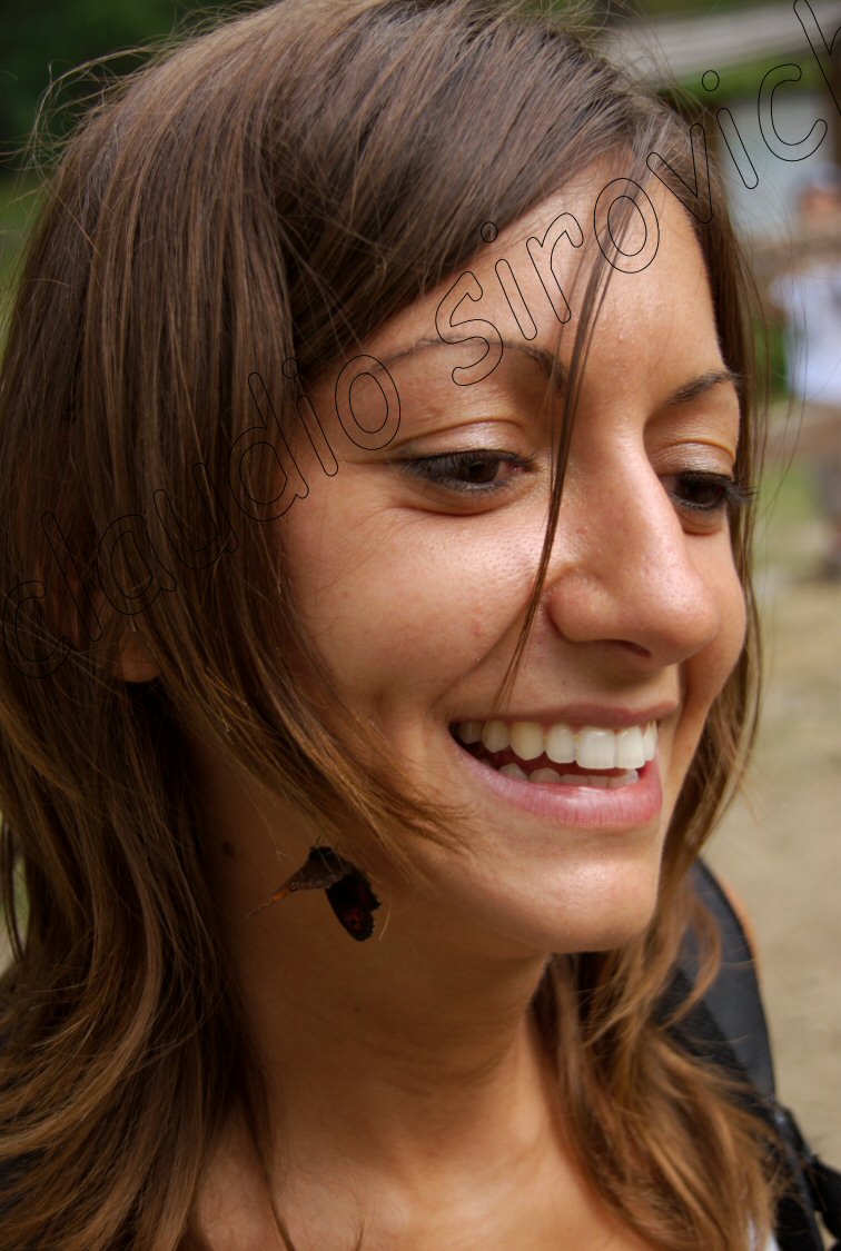 Photograph